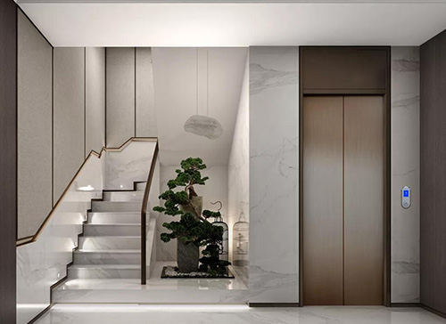 家用電梯的維護有哪些特點？